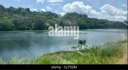 Panama Canal Railway Company Stockfoto