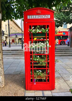 Einem ehemaligen öffentlichen Telefon anrufen aktiviert ist, umfunktionierte Blumen in Bath, England Großbritannien anzuzeigen Stockfoto