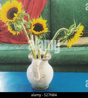 Sonnenblumen in Vase auf blauen Tisch vor grünen Sofa mit roter Decke Stockfoto