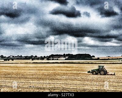 Ackerflächen, sub verschmutzt, Bawdsey, Suffolk, England. Stockfoto