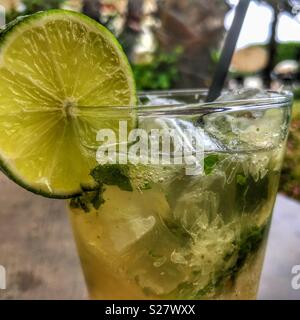 Cocktail, Gin Mojito, mit frischer Limone, gemahlen Minze und Sodawasser auf den Felsen Stockfoto