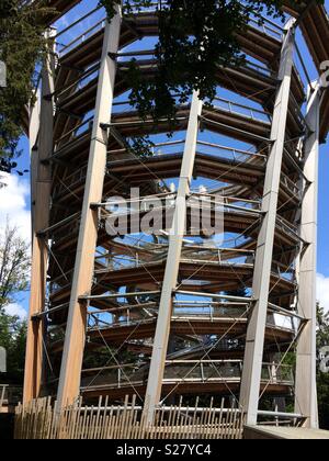 Der Baumwipfelpfad Schwarzwald Turm und Folie in Bad Wildbad, Schwarzwald, Deutschland Stockfoto