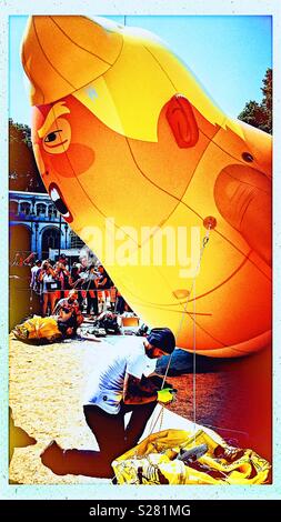 Arbeitnehmer tethering Ein Donald Trump aufblasbare baby Blimp, Parliament Square, London Stockfoto