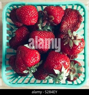 Quart frisch gepflückt Ontario Kanada Erdbeeren Stockfoto