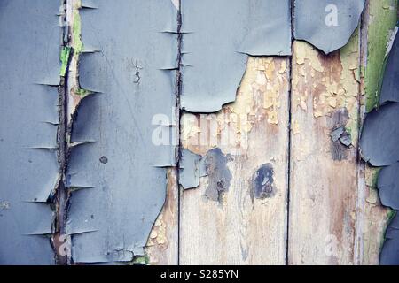 Einen strukturierten Hintergrund der Peeling und Blasenbildung der blauen Farbe auf morsche Bretter, Stockfoto