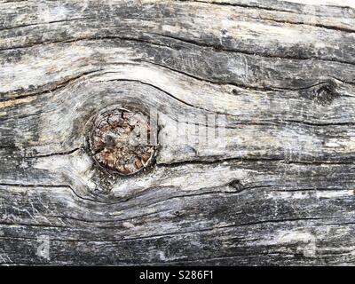 Eine strukturierte Hintergrund einer rauhen und verwitterter Baumstamm mit ineinandergeschlungenen Holz und Kopie Raum Stockfoto