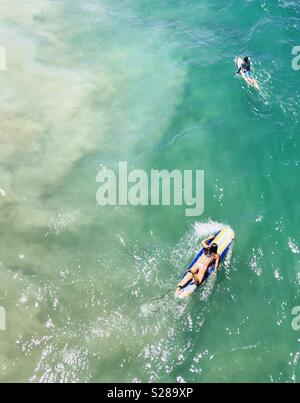 Surfer Paddeln, Surfen. Manhattan Beach, Kalifornien, USA. Stockfoto