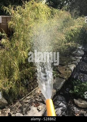 Das Sprühen der Garten mit Wasser aus einem Gartenschlauch Stockfoto