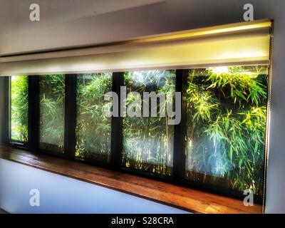 Schlafzimmer Fenster mit bewachsenen Laub außerhalb Stockfoto