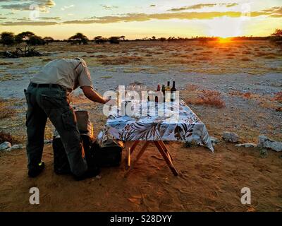 Safari Guide einrichten Sonnenuntergang Getränke in Etosha, Namibia. Stockfoto