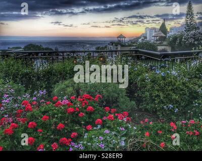 Blick auf den Sonnenuntergang über dem Meer von den Gärten des PortoBay Hotel Resort, Funchal, Madeira, Portugal Stockfoto