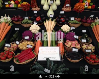 Preisgekröntes Gemüse, Royal Welsh Show Stockfoto