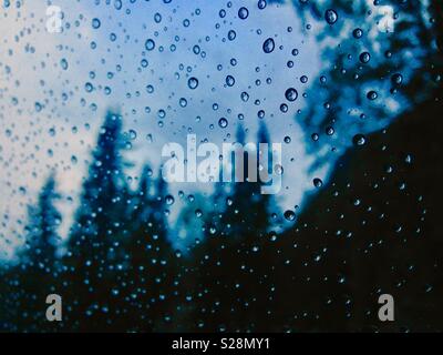 Regentropfen auf Fenster mit Pinien im Hintergrund unscharf Stockfoto