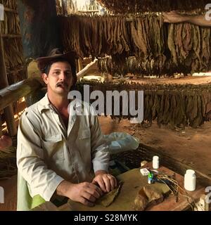 Kubanische Tabak Landwirt in Viñales Kuba Stockfoto