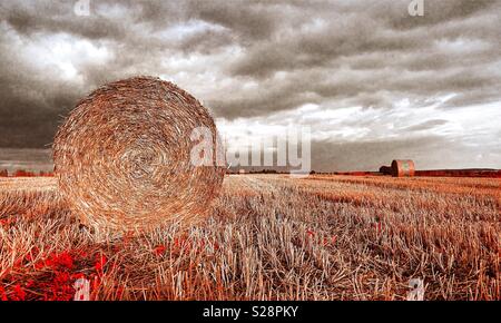 Strohballen auf einem Feld in Ost Polen Stockfoto