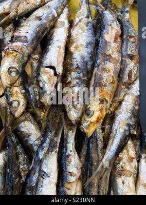 Gegrillte Sardinen mit Olivenöl Stockfoto