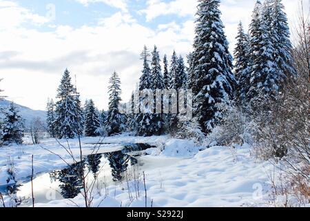 Snowy Day in Whistler, Britisch-Kolumbien Stockfoto