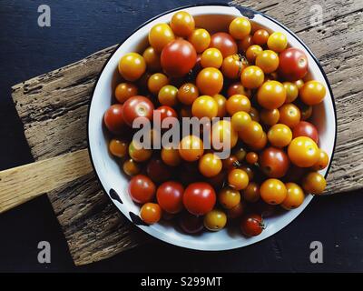 Cherry Tomaten aus einem städtischen Garten geerntet Stockfoto
