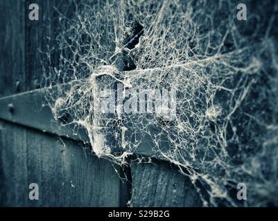 Spinnweben an eine alte Tür Scharnier. Stockfoto