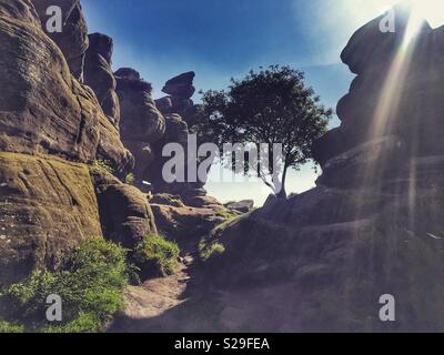 Brimham Rocks, Yorkshire, Großbritannien Stockfoto