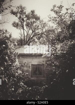 Alter Ort im Wald. Stockfoto