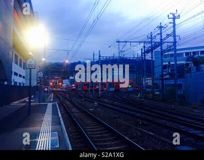 Abendlicher Blick der Züge im Depot auf einem Bahnhof in Zürich Schweiz von der Plattform am Bahnhof Giesshübel Stockfoto