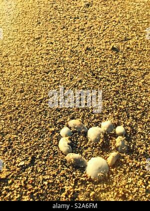 Sommer Urlaub Romantik: ein Herz aus weißen Muscheln am Strand Stockfoto