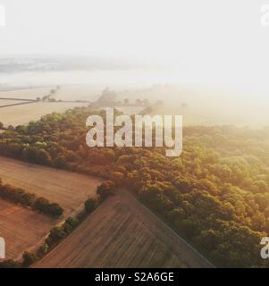 Luftaufnahme des frühen Morgens Nebel lag über Felder und ein Holz bei Sonnenaufgang Stockfoto