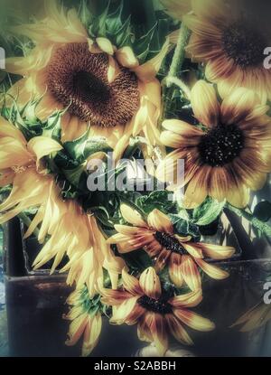 Sonnenblumen auf einem Bauernmarkt Stockfoto
