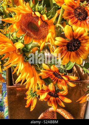 Sonnenblumen auf einem Bauernmarkt Stockfoto