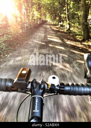 Morgen Radtour entlang der Ely Trail in Cardiff, mit Sunburst durch die Bäume zu arbeiten. Stockfoto