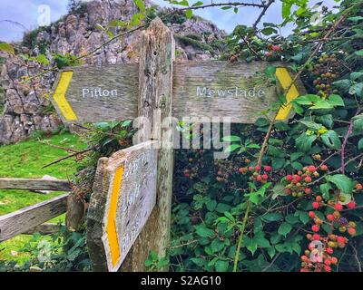 Schild für Mewslade und Pitton, Gower, South West Wales im September mit Früchten beladenen Black Sträuchern. Stockfoto