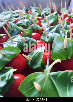 Frische Tomaten mit Basilikum Blätter auf Zahnstocher. Stockfoto