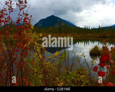 Vermillion Seen, Banff National Park, Alberta, Kanada, im Herbst Farben Stockfoto