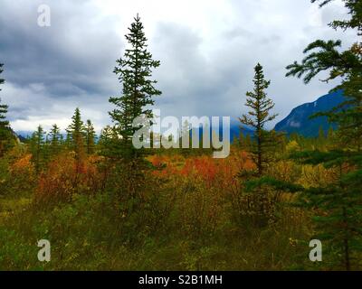 Vermillion Seen, Banff National Park, Alberta, Kanada, im Herbst Farben Stockfoto