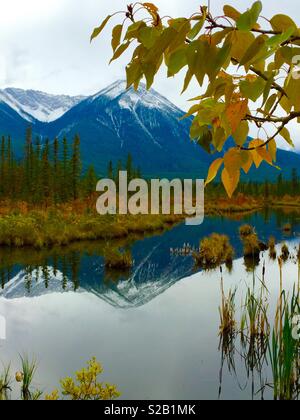 Vermillion Seen, Banff National Park, Alberta, Kanada, im Herbst Farben Stockfoto