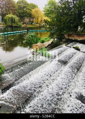 Log/Baum klemmt auf ein Wehr auf dem großen Fluss Ouse, England Stockfoto