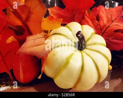 Herbst Der Herbst Laub und einem weißen Kürbis, USA Stockfoto
