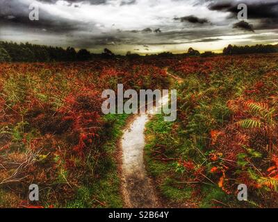 Öffentlichen Fußweg Stockfoto