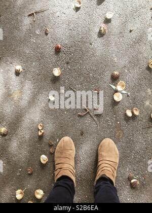 Frühe Anzeichen des Herbstes: Wandern auf einem asphaltierten Weg durch die Konker. Zwei Füße in braunen Stiefeln. Stockfoto