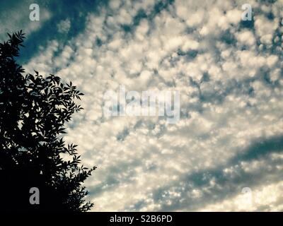 Wolken & Himmel, Brighton, Großbritannien Stockfoto