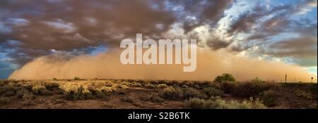 Eine massive Haboob bewegt sich über das Sonoran Wüste vor einem Monsun Gewitter.