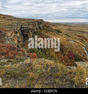 Kopf zertrümmerte in Buffalo Jump UNESCO Weltkulturerbe in ländlichen Alberta. Stockfoto