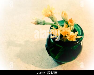 Überbelichtetes Foto von Löwenzahn in einem grünen Glas Vase Stockfoto