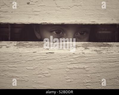 Augen... Fenster zur Seele. Ein Paar Augen, die durch alte, verfallene Zaungeländer schauen. Stockfoto