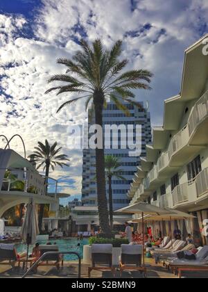 Am Pool in Miami, South Beach, The Shelborne Hotel Stockfoto