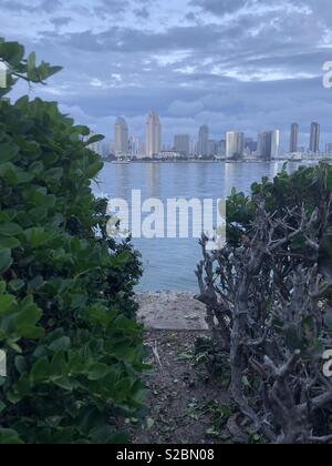 Blick auf die Skyline von Adam Diego über die Bucht in Coronado, Calif. Stockfoto