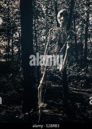 Kunststoff Skelett zu Auto Antenne angebracht erscheint, "Stechschritt" in der Dämmerung woods Stockfoto