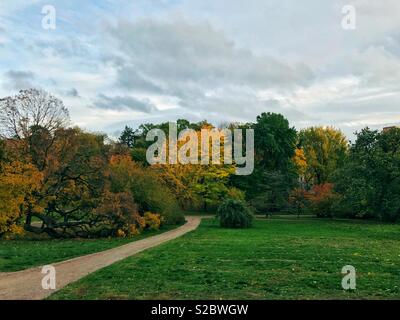 Ein Weg in eine Gruppe von bunten Bäume in einem botanischen Garten im Herbst Saison. Stockfoto