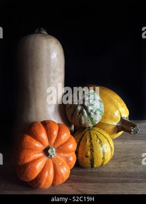 Eine Auswahl an rustikalen Winter Squash Gemüse einschließlich Kürbisse, munchkins, butternut Kürbis Kürbisse und in ein Stilleben Bild Stockfoto